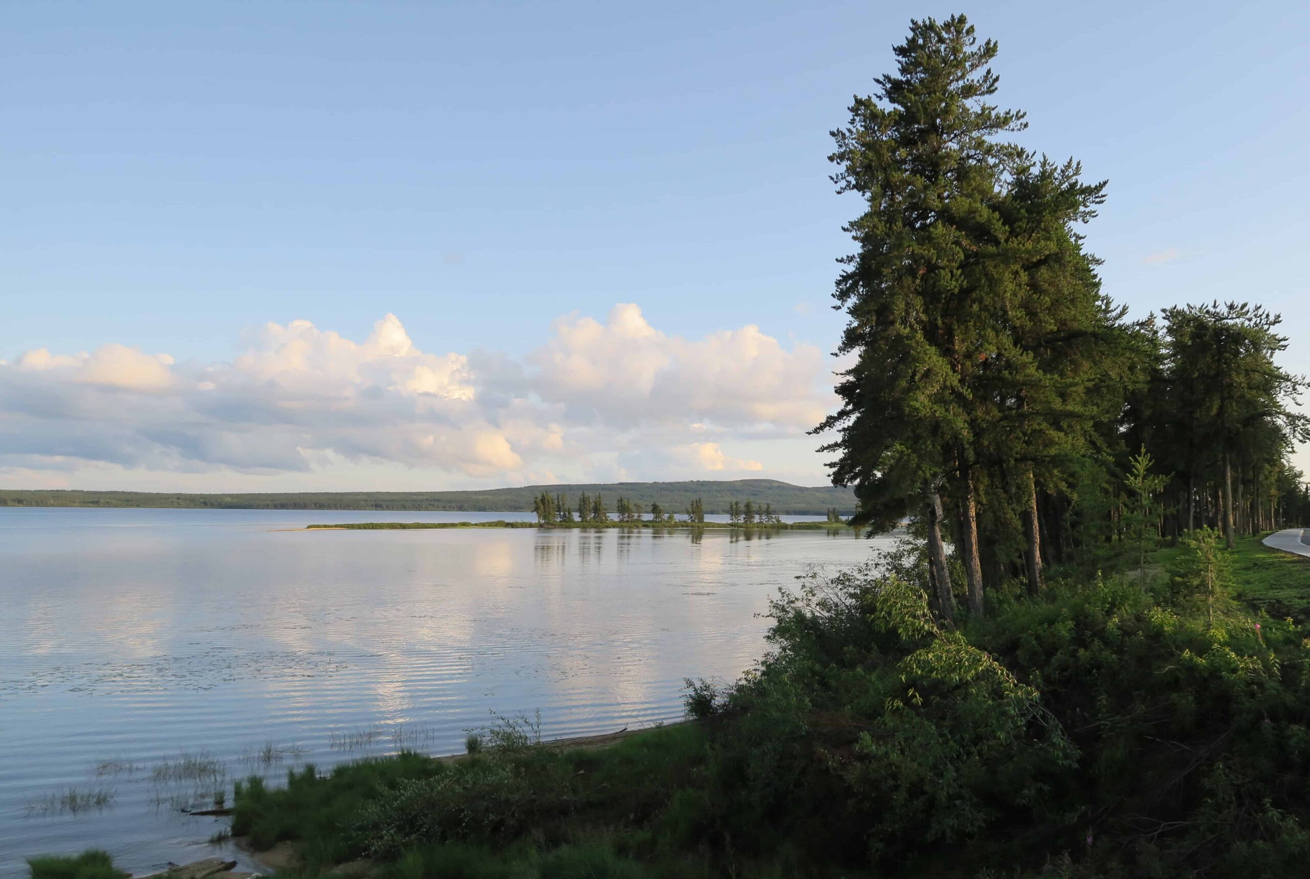 Lac et arbres au bord du rivage.